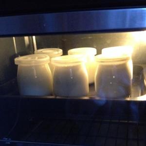自制原味酸奶（烤箱省电版）的做法 步骤6