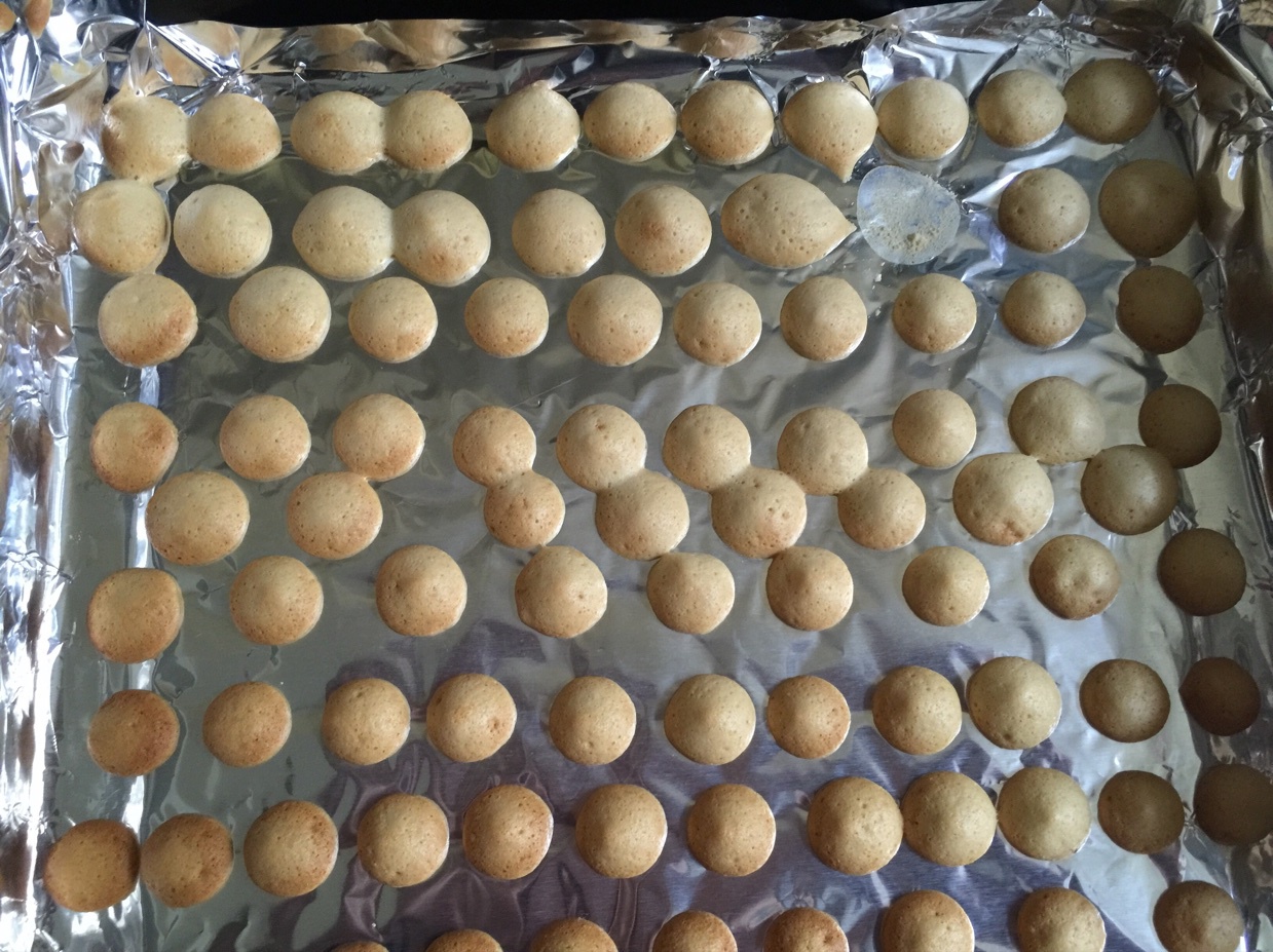 婴儿辅食版蛋奶小饼干（简单快手）