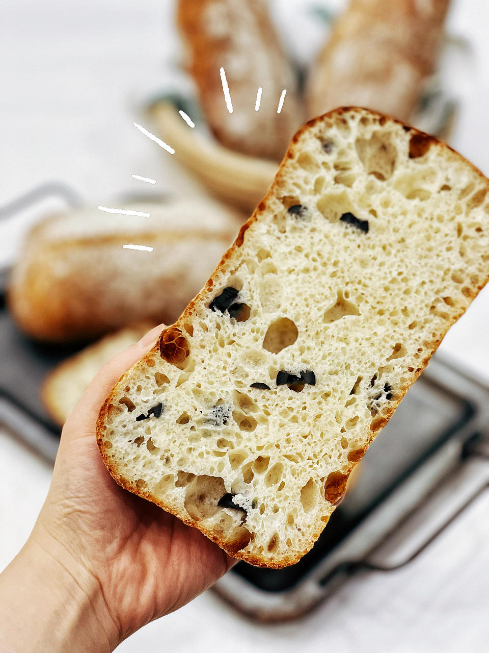 简单版不用整形的波兰种黑橄榄恰巴塔，手残党福音