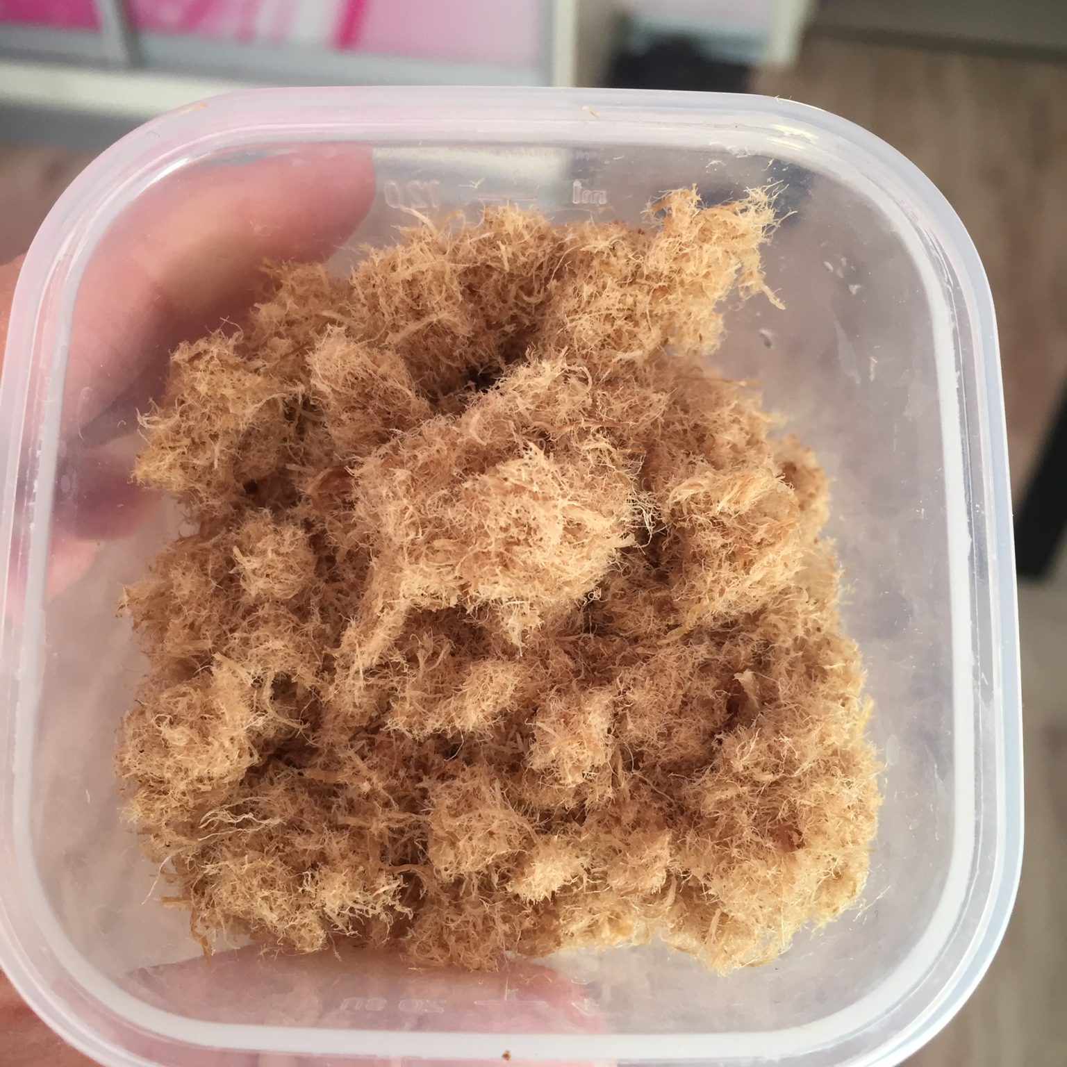 自制宝宝无盐猪肉松