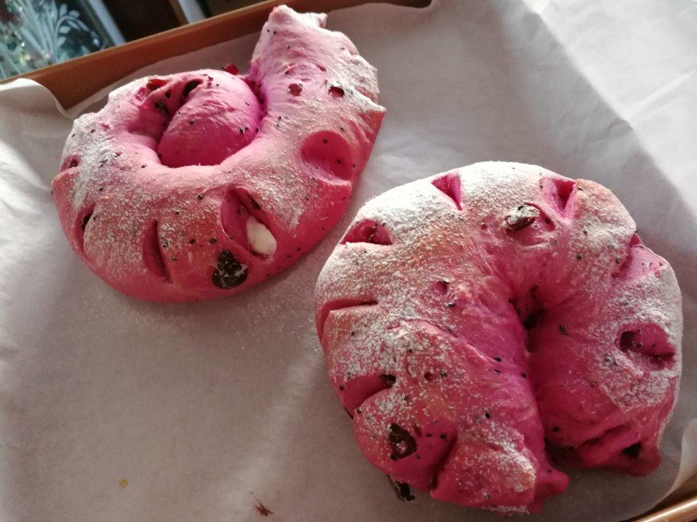 火龙果乳酪软欧