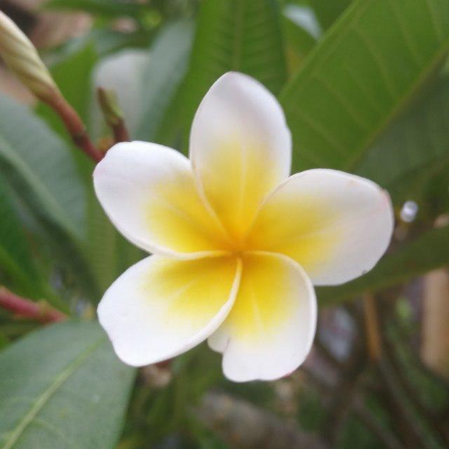 颖霏宝贝