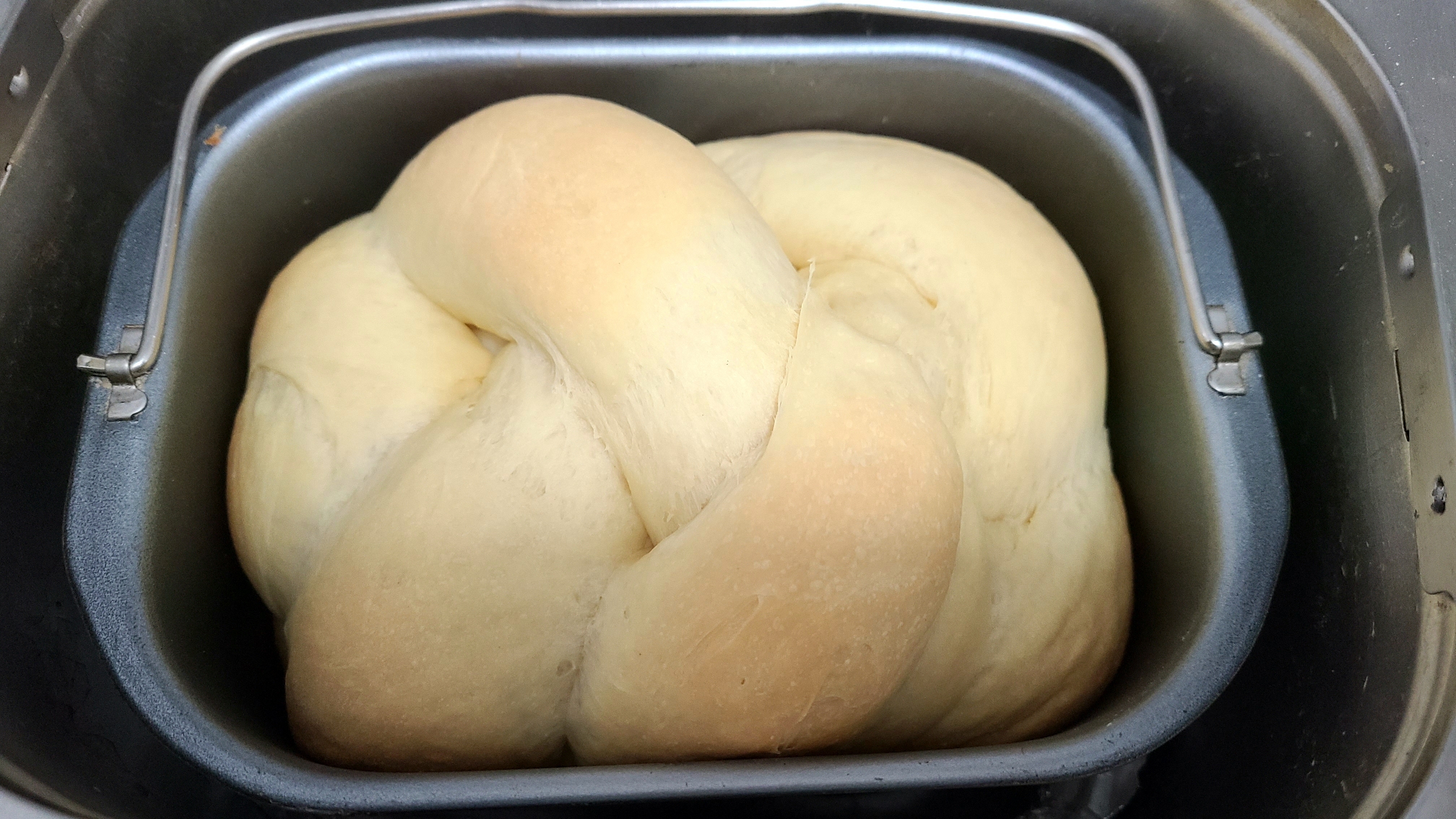 消耗淡奶油的烫种面包（面包机版）