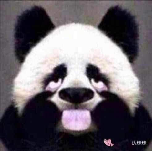 汏珠珠