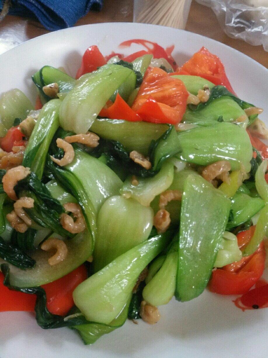 海米油菜