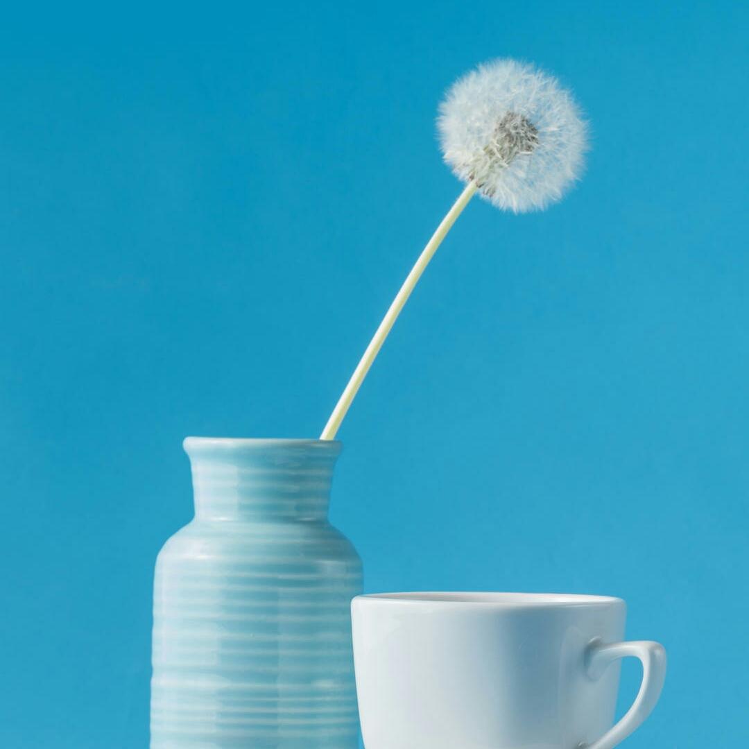 ╱/.薰衣草的味道oоΟ