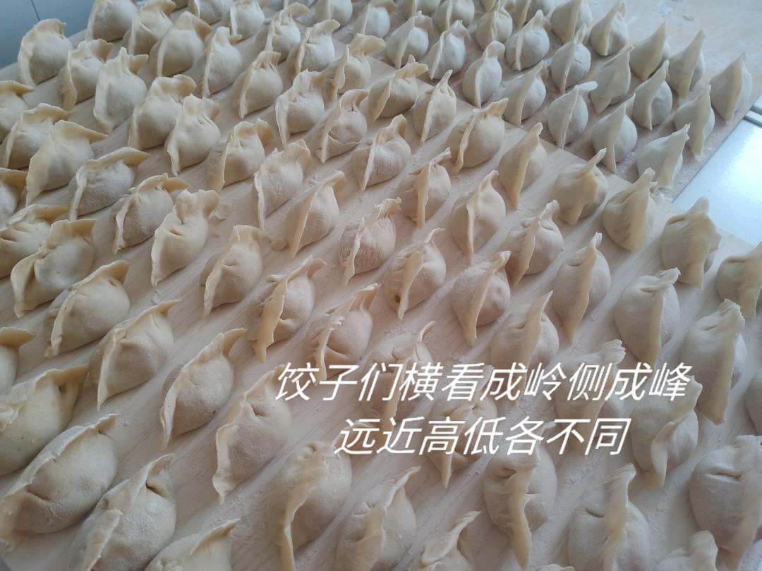 【免揉】皮薄筋道冻后不破的饺子皮