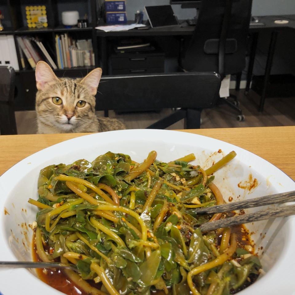 凉拌马马菜（凉拌马齿苋）