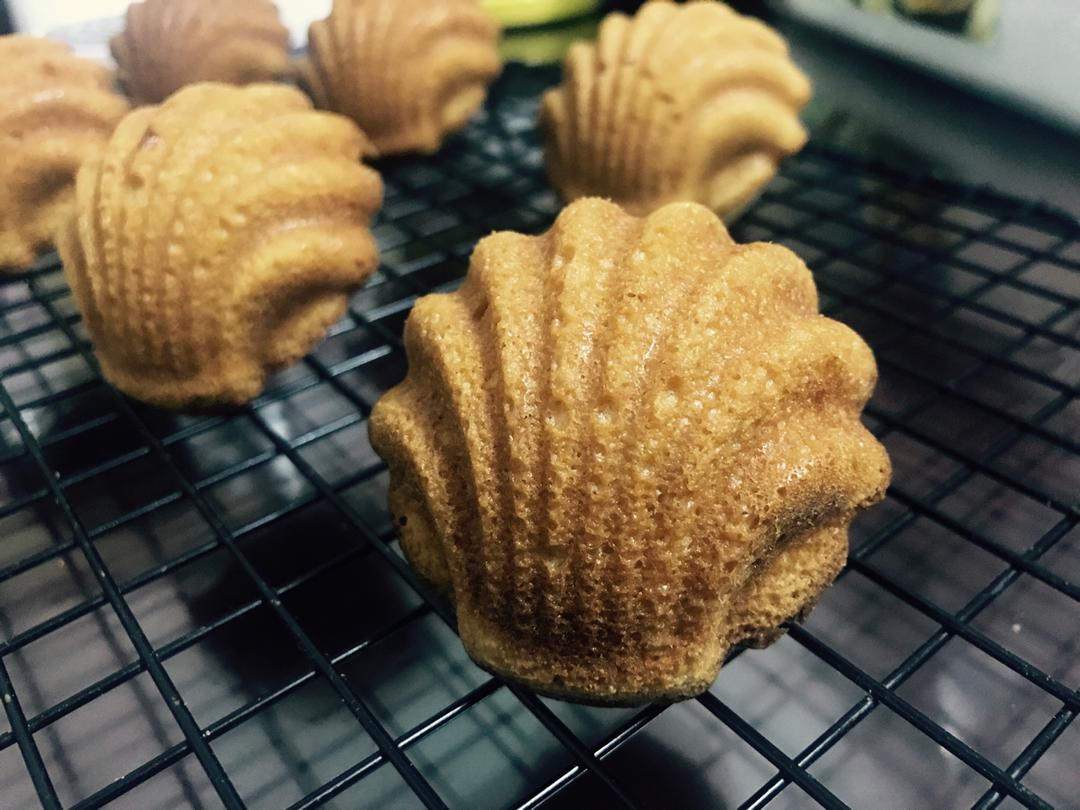 柴田武的焦糖玛德琳蛋糕