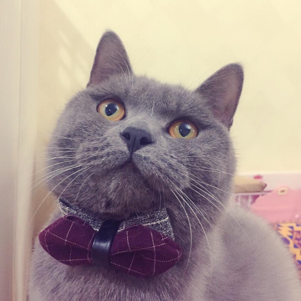 为你柴米油盐酱醋茶