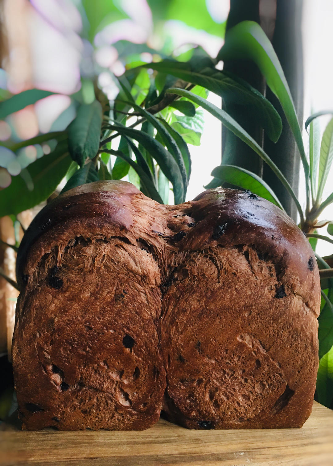 巧克力控看过来｜香而不腻的巧克力橙皮吐司