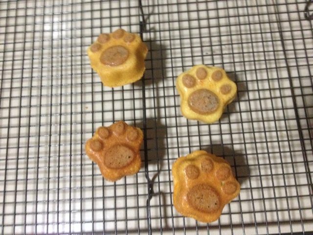 猫爪小蛋糕（玛德琳版）