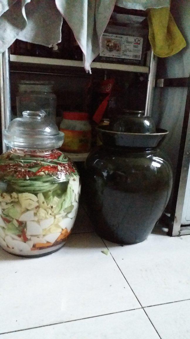 不易坏的四川泡菜（生水版）