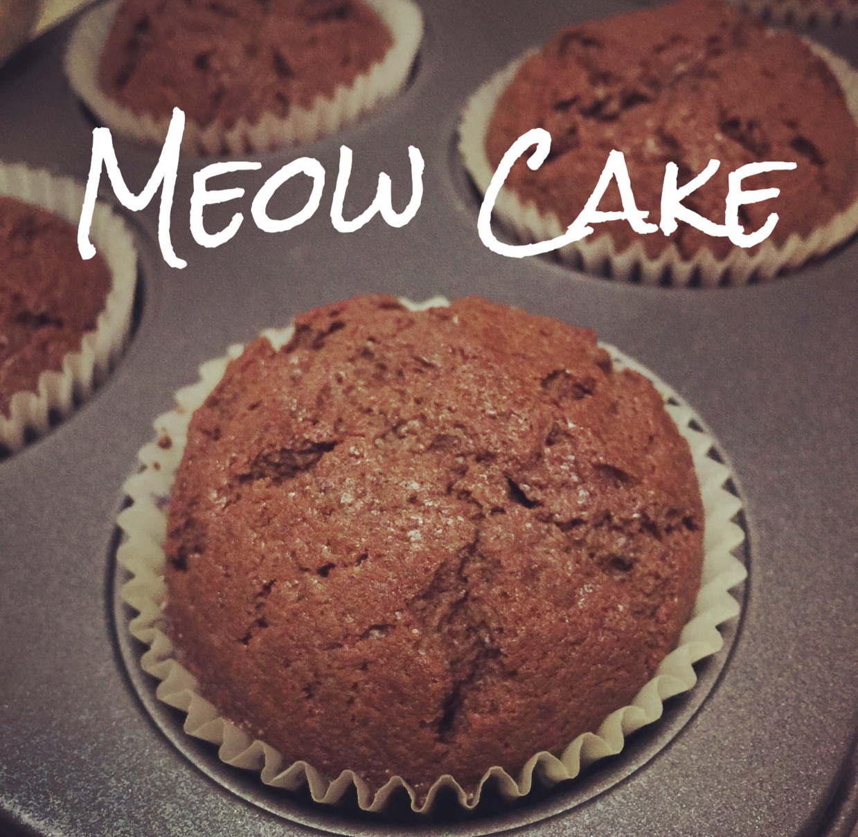 超润巧克力纸杯蛋糕（非常适合裱花、盖糖皮的cupcake方子）