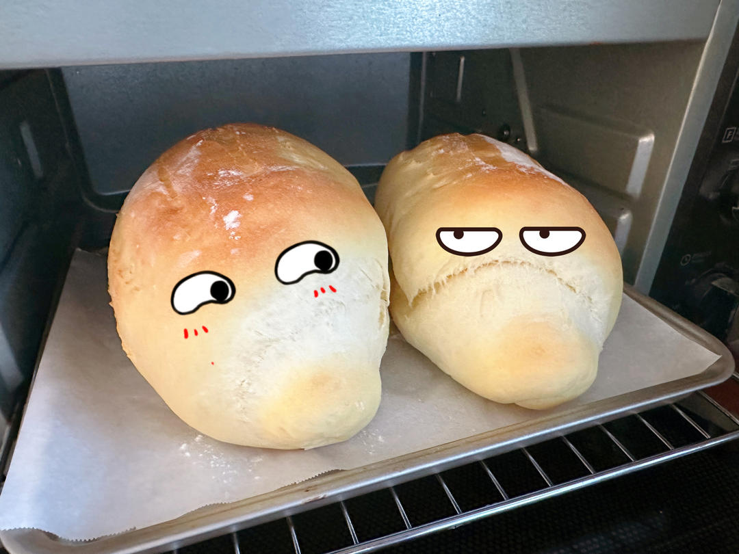 蛋奶哈斯