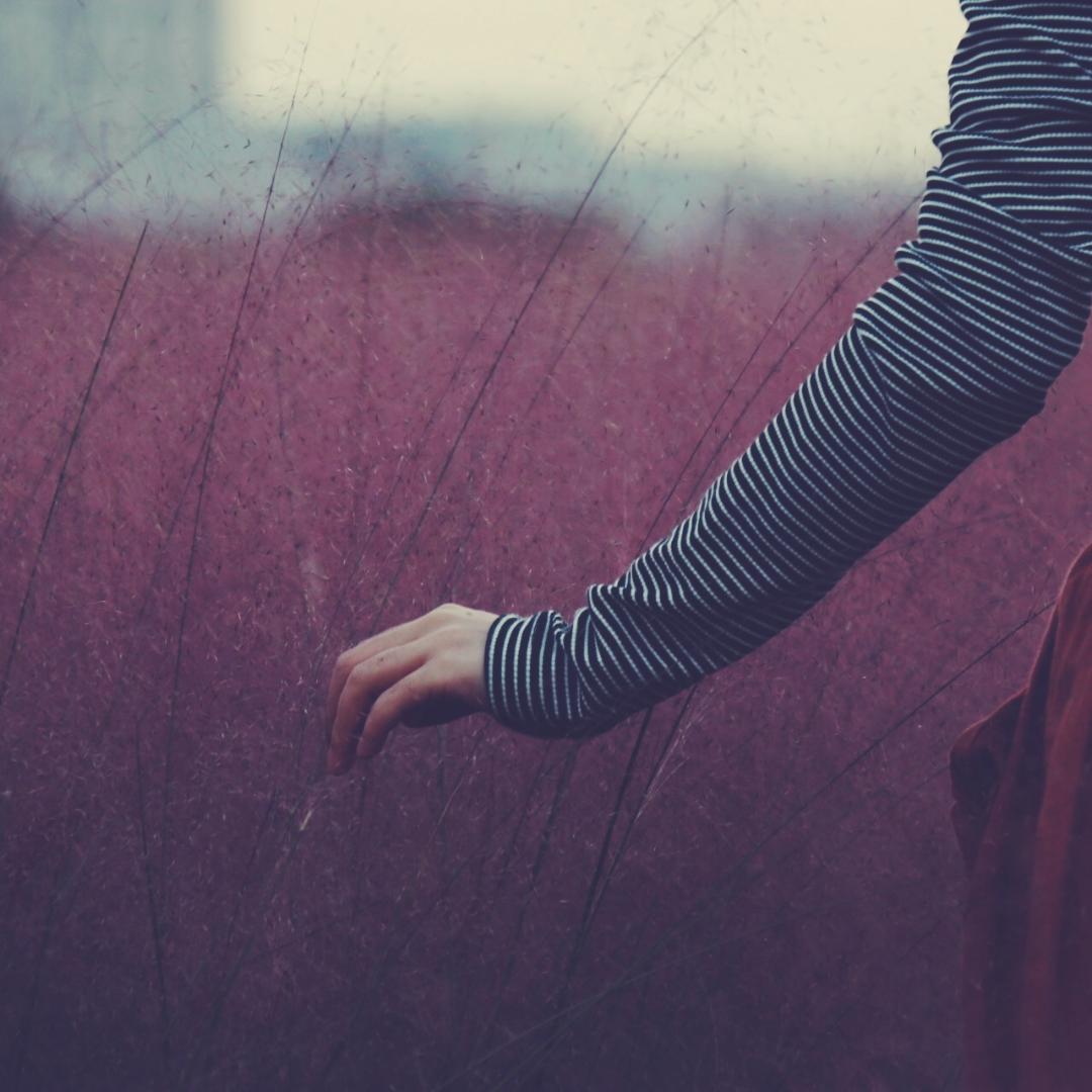 进阶中的小厨娘