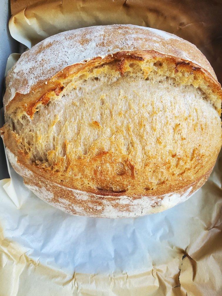 【硬欧笔记】GirlMeetsBread「Sourdough Notebook」