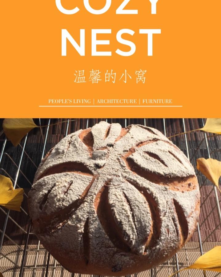 全麦红糖桂圆软欧包