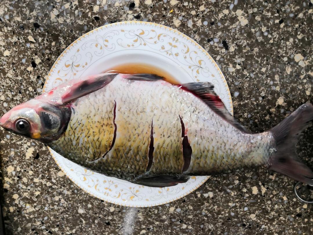 红烧鳊鱼（武昌鱼）