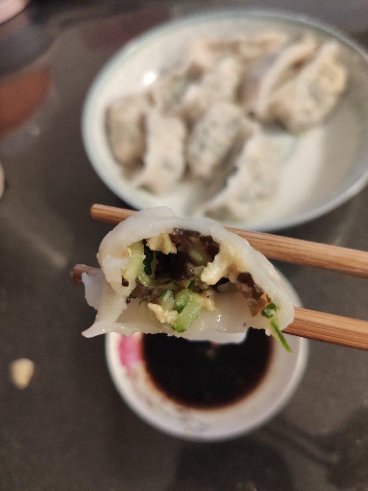 素饺子黄瓜馅，美味经得起检验。
