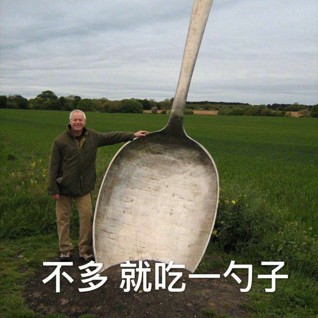 一只会红烧的大白鹅