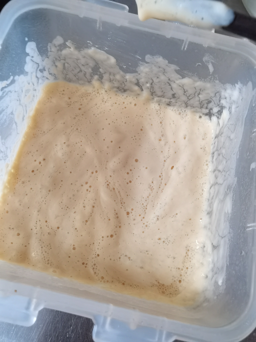 牛奶液种老面包（一次发酵）的做法 步骤1