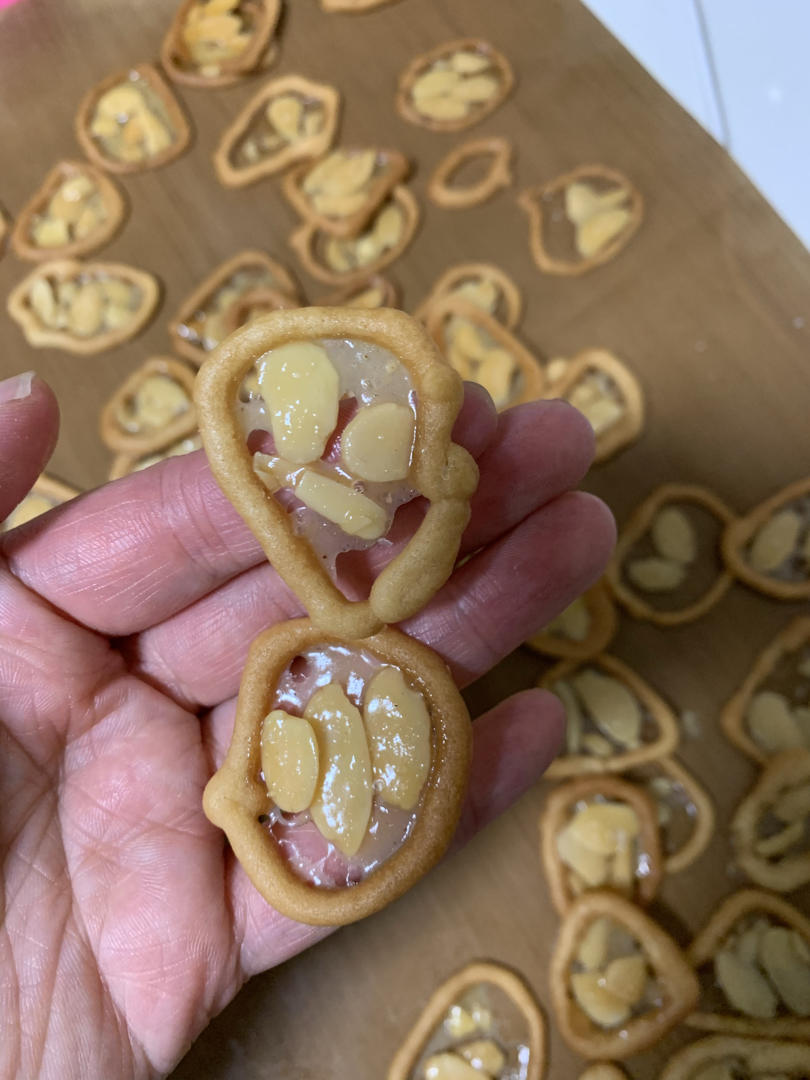 罗马盾牌