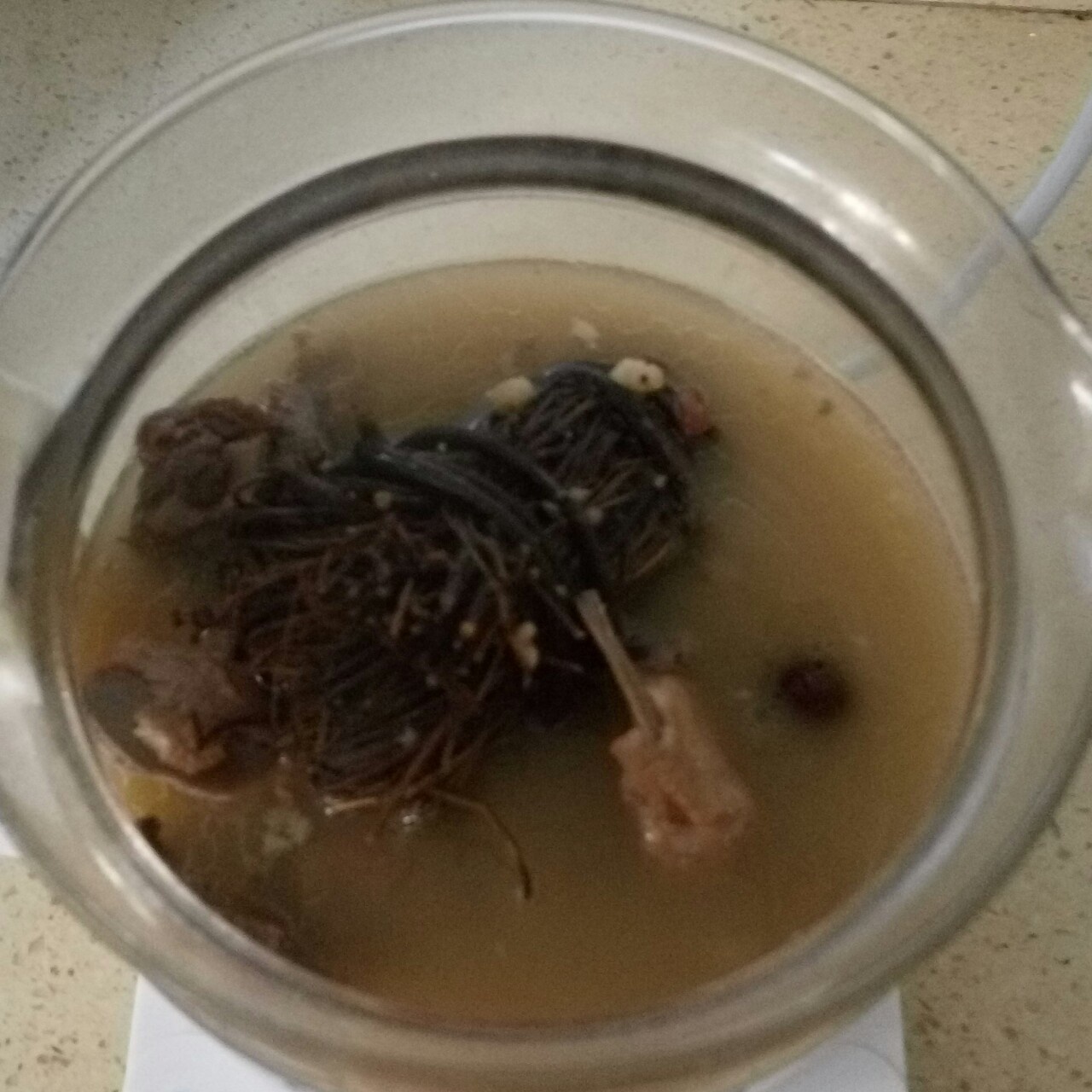 鸡骨草赤小豆煲龙骨