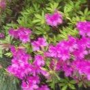 手机用户4210_7uih