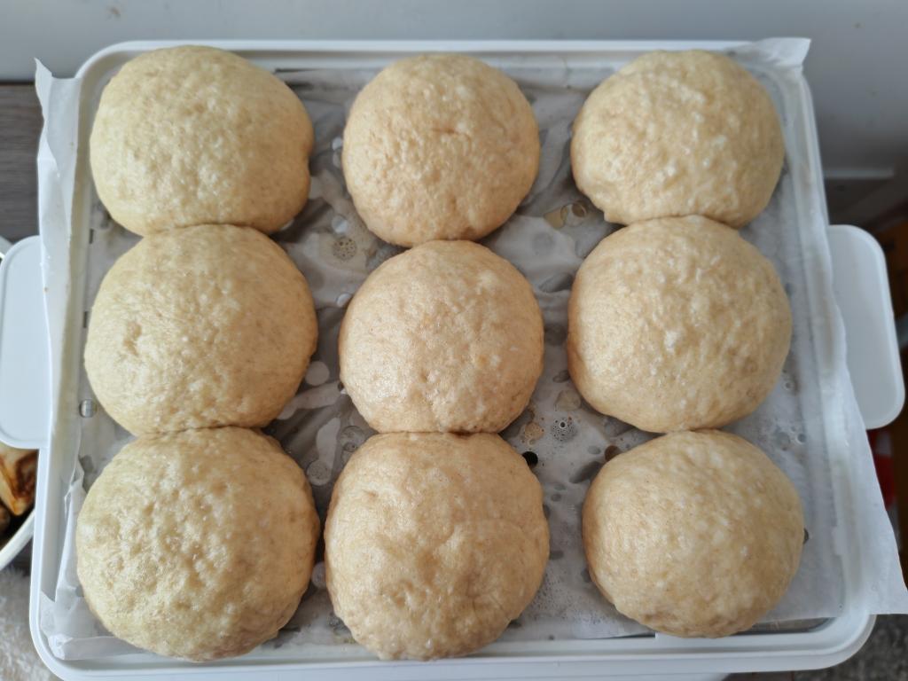 全麦馒头（一次发酵）