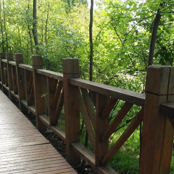 木棉花落尽光年殇