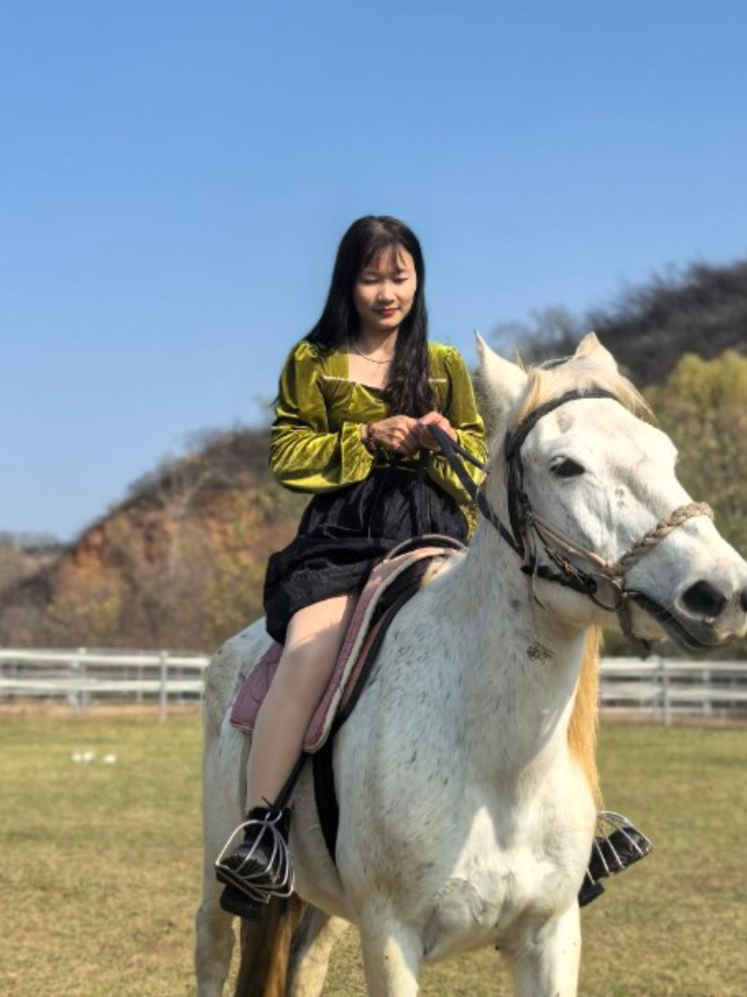 森林里的乌姜