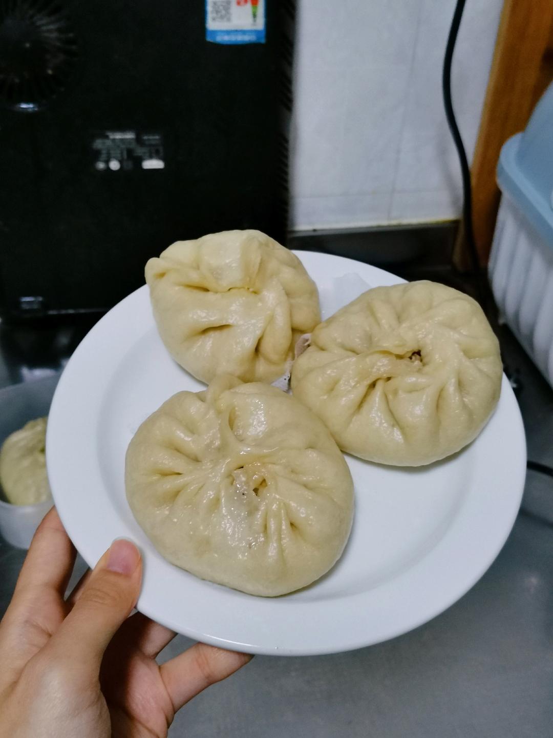 一次发酵肉包子