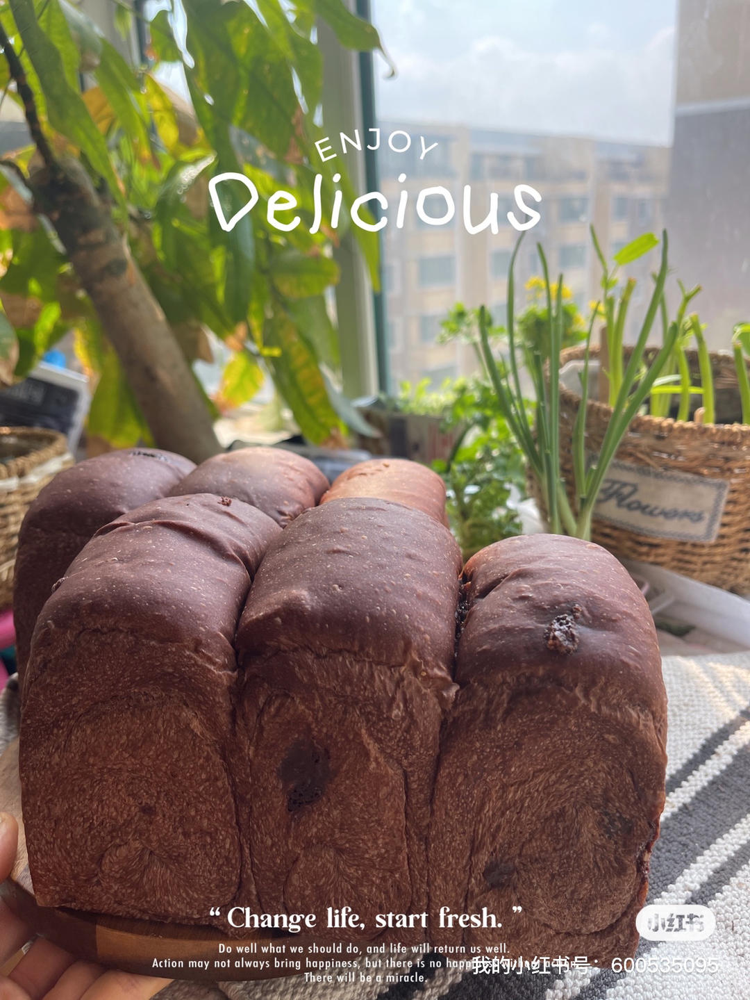 可可巧克力豆吐司（纯素无蛋奶）