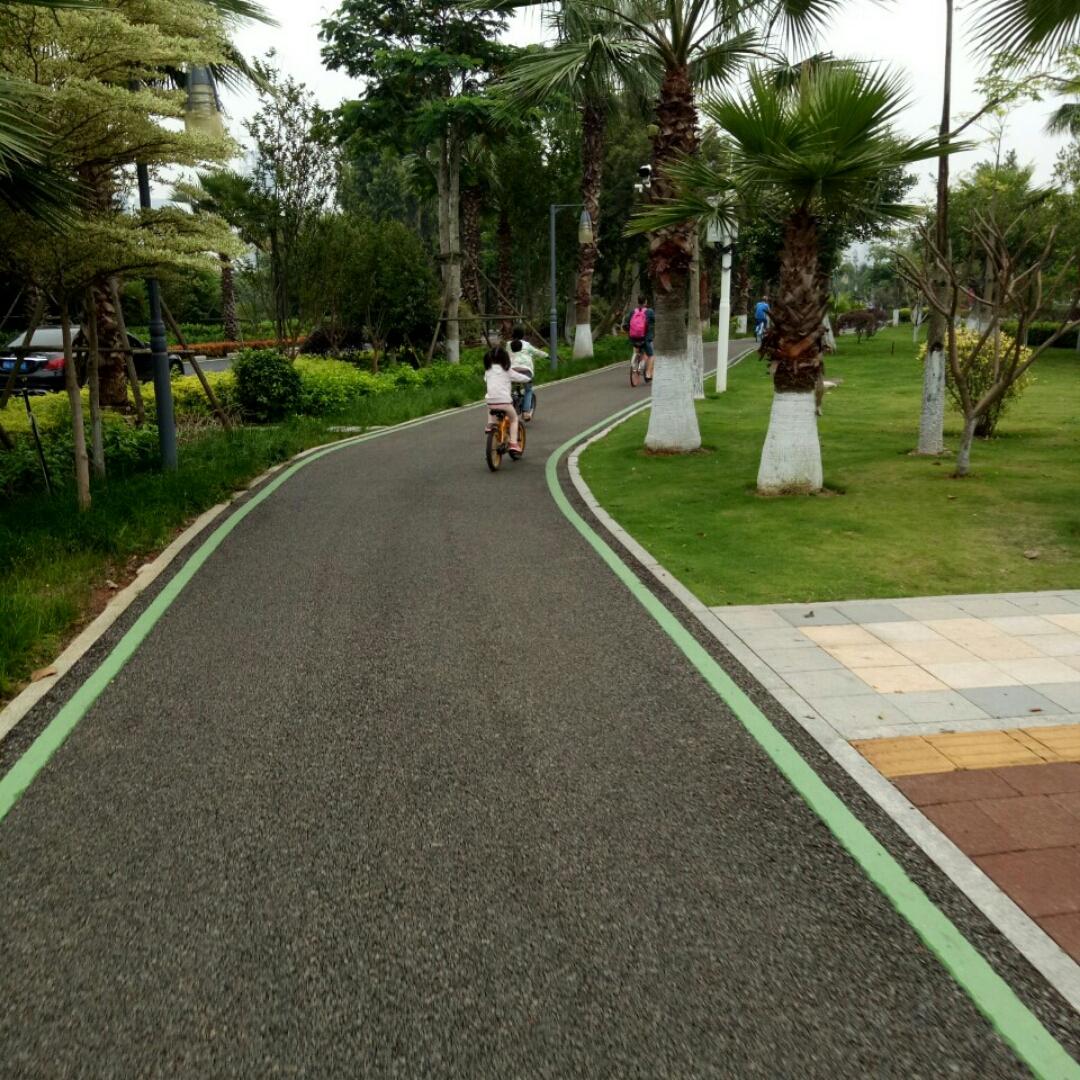 一束阳光耀大地