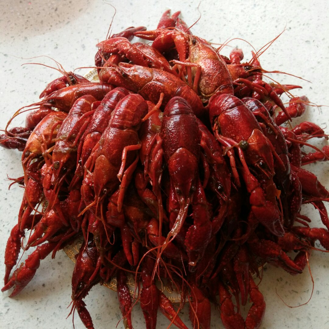 晚餐•2016年7月21日