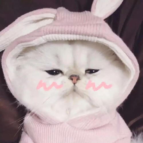你可你爱