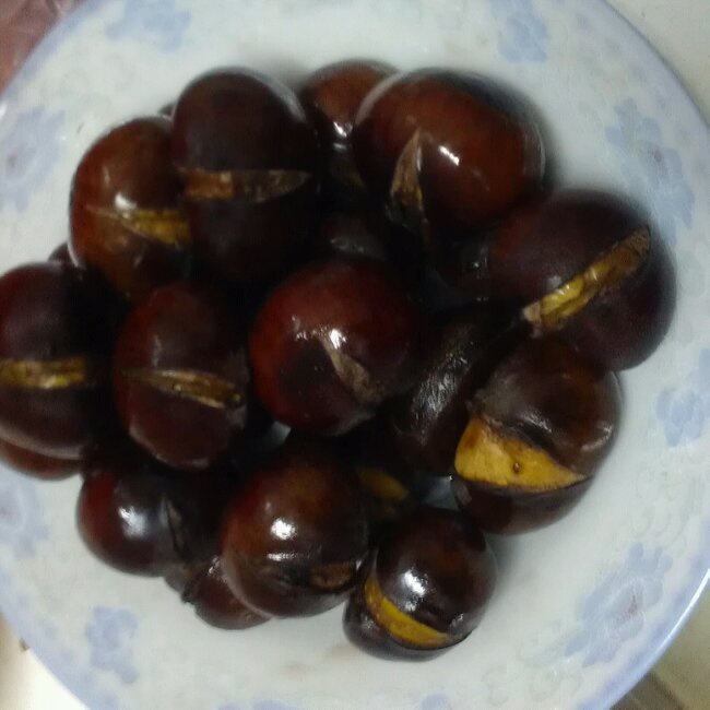 慵懒美丽的栗子