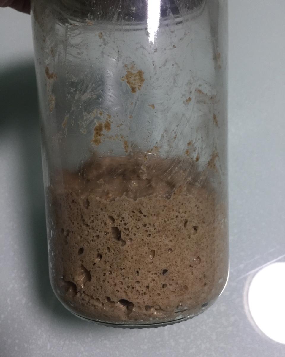 【Ken Forkish】天然酵种培养