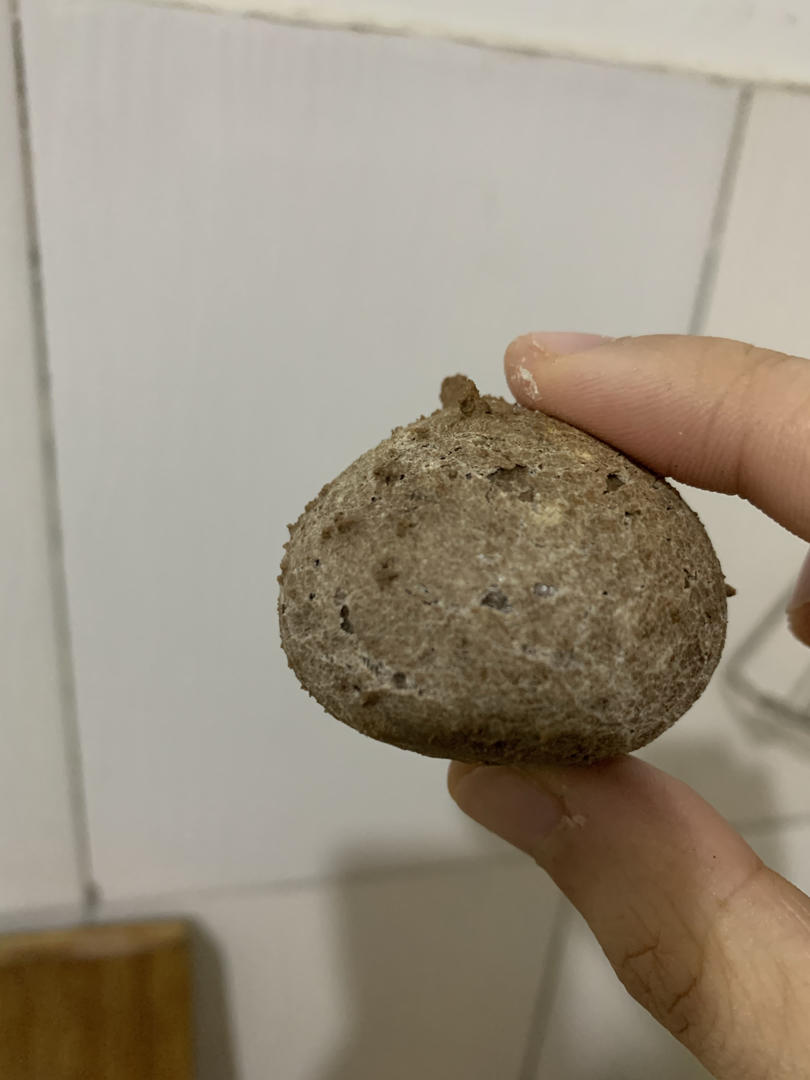 #零失败#一次做多口味：原味/巧克力/抹茶蔓越莓/肉松麻薯面包恐龙蛋