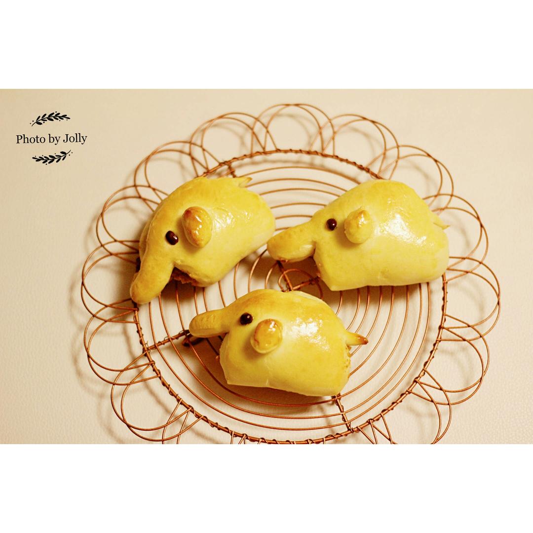 Jolly的厨房实验室