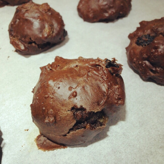 可可粉加葡萄干口味无油小软饼