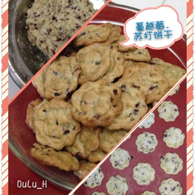无糖芝麻苏打饼干