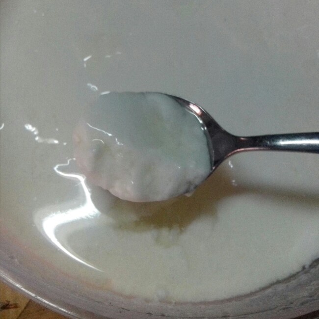 自制酸奶