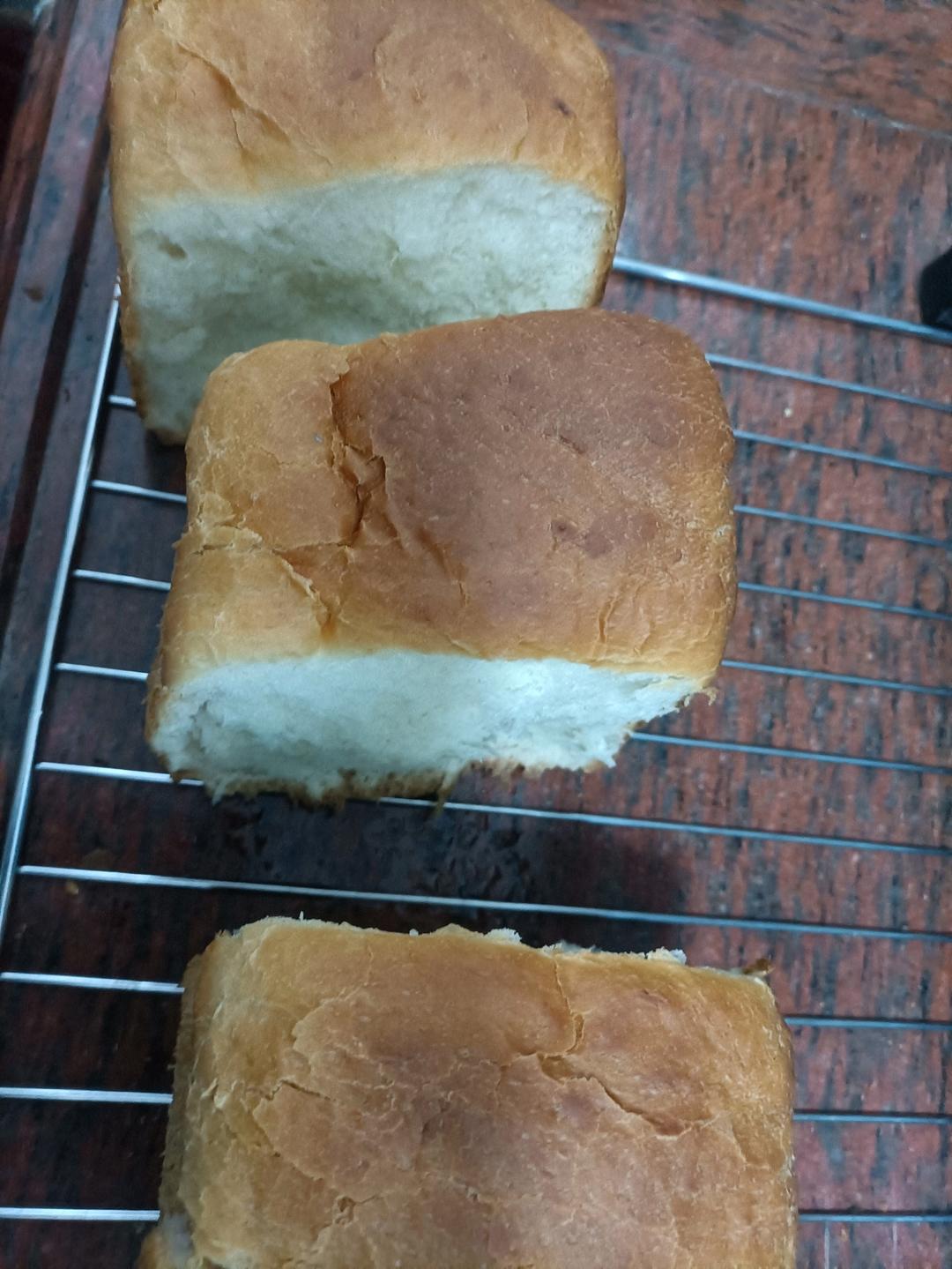 全网最简单吐司面包🍞