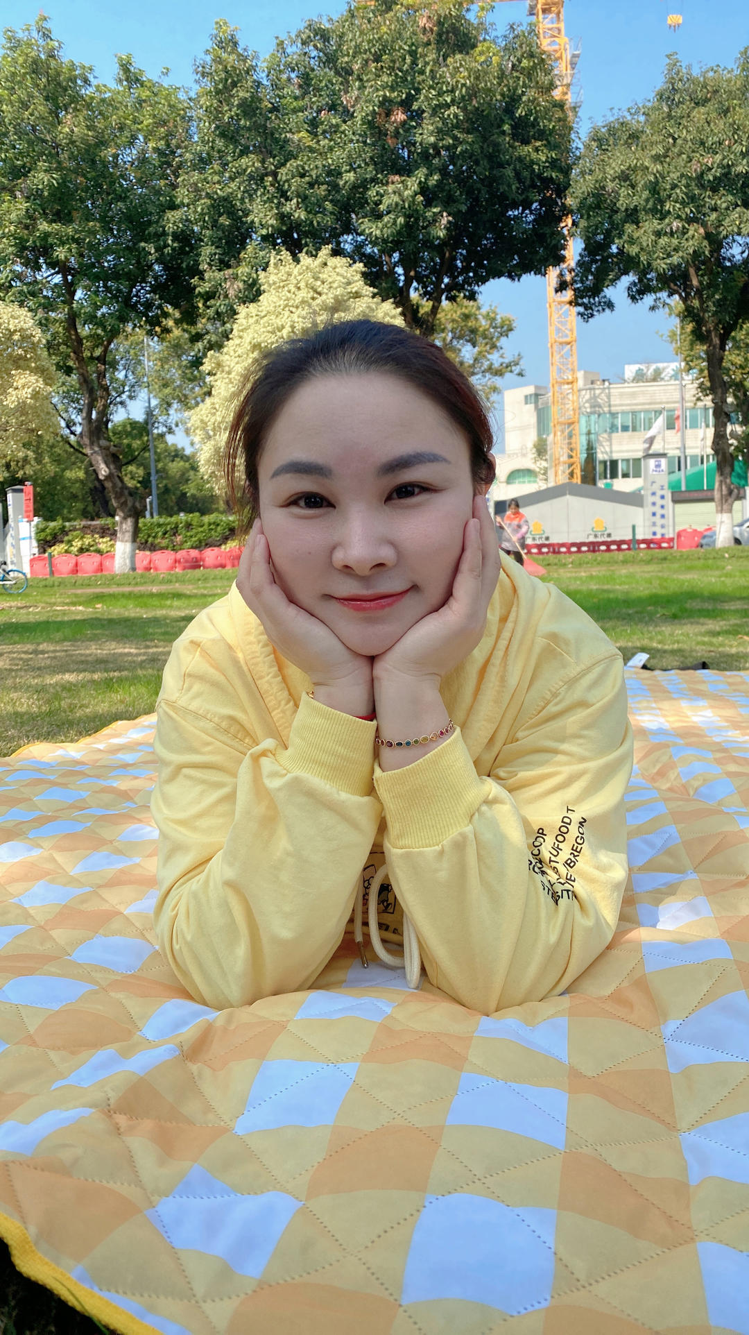 不吃糖的小老虎