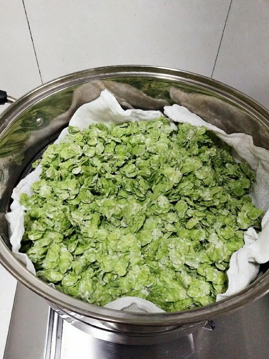 蒸榆钱 蒸菜之榆钱