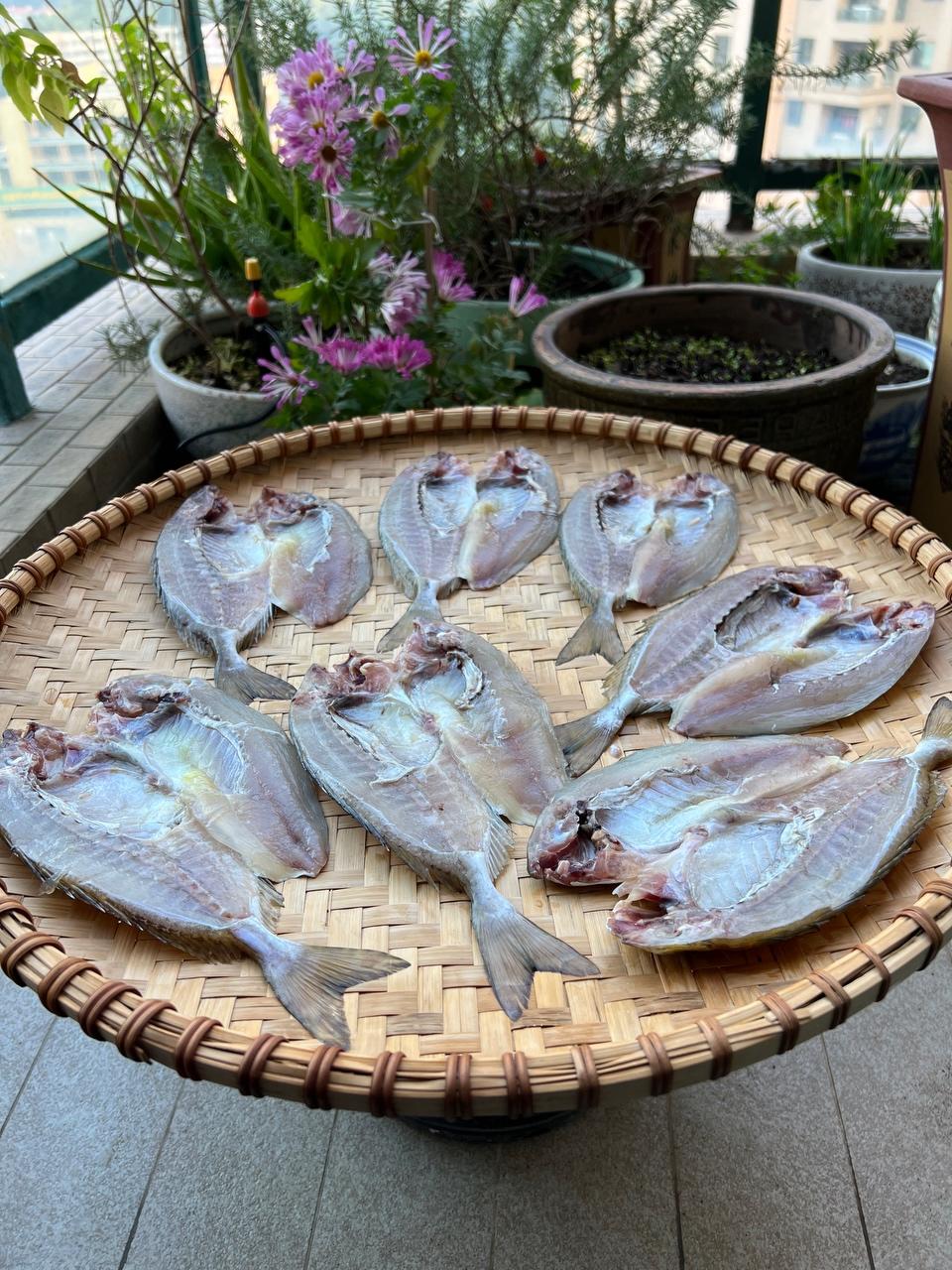 记录2021年晒鱼干的做法 步骤8