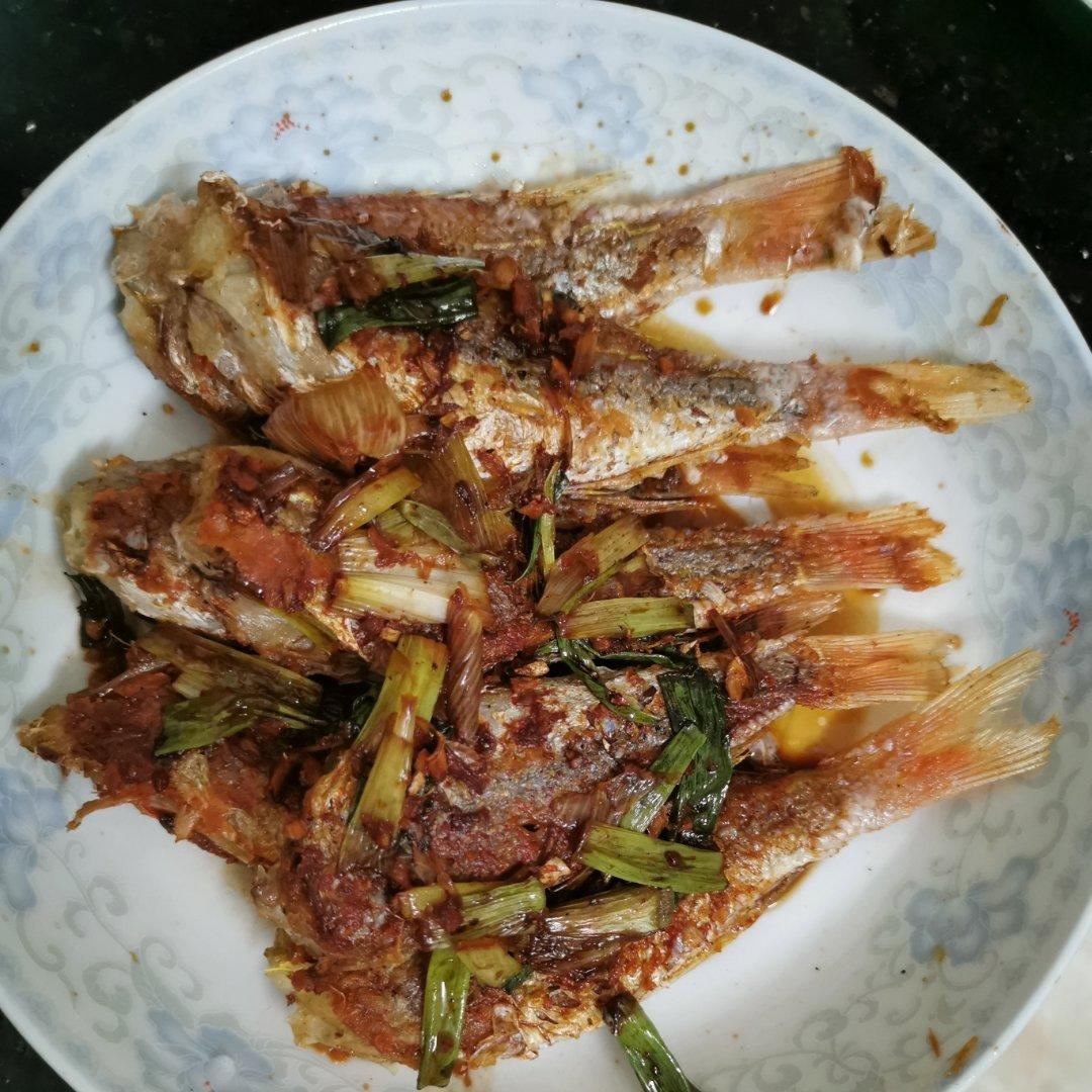 红杉鱼