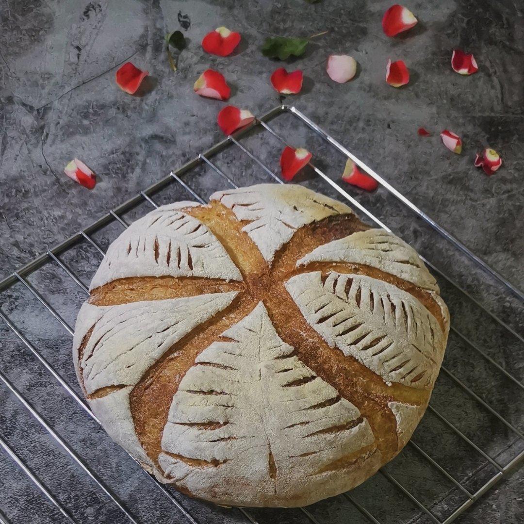 欧包割包视频教程-雨林